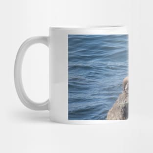 Point Dume State Beach Mug